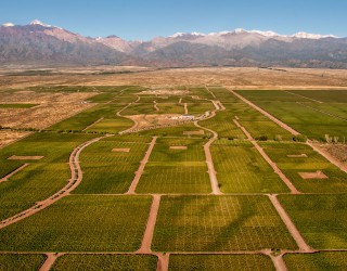 Aerial image of the vineyards