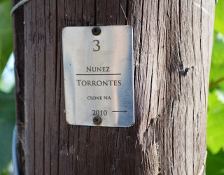 Image of Nunez Torrontes sign